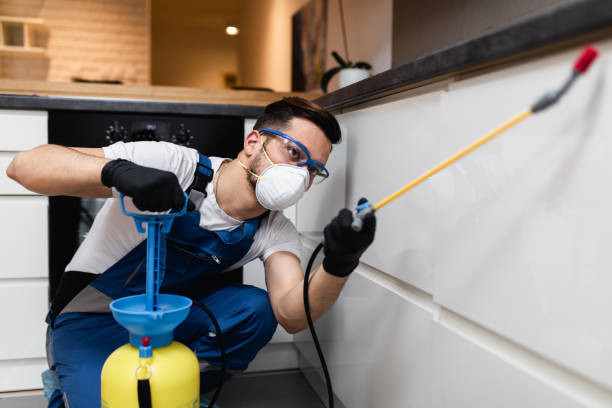 Best Cockroach Control Services  in Georgetown, CA