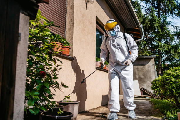 Pest Prevention Services in Georgetown, CA