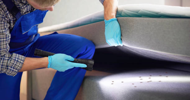 Best Best Pest Control Companies  in Georgetown, CA