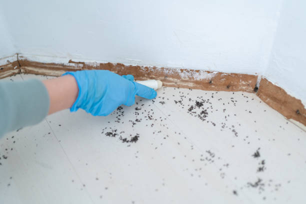 Best Commercial Pest Control Services  in Georgetown, CA